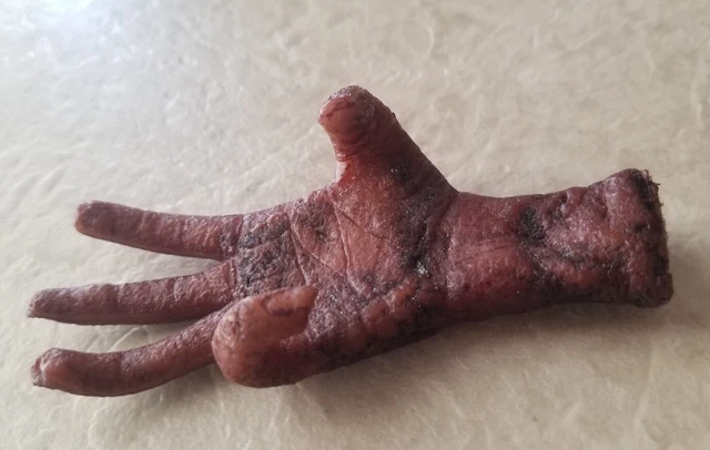 “Cursed” Monkey's Paw / Monkey Hand Prop Replica Hand-Made novelty 3 Wishes Claw