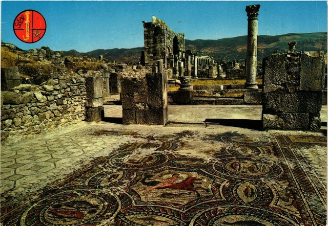 CPM AK MOROC VOLUBILIS - Roman Mosaics (342907)