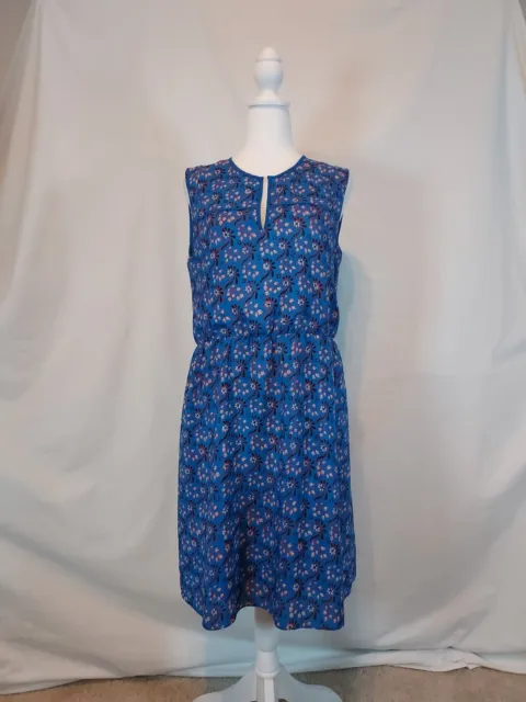 J Crew Womens Size 12 Dress. Sundress Sleevless  Floral On Blue Colorful Lined