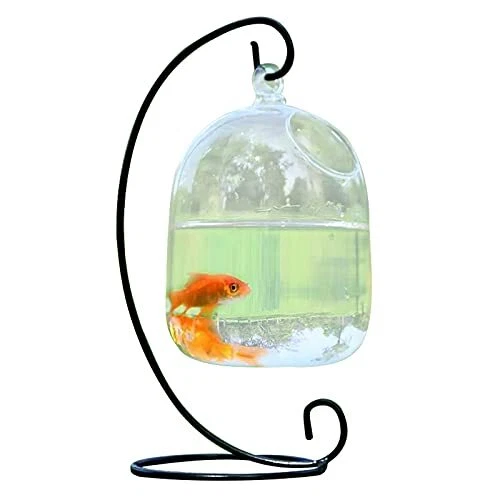 Desk Glass Hanging Fish Bowl Tank with Stand Fish Homes Small Table Glass