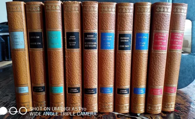 lot de 10 livres éditions de l érable dont A.Dumas, Erckman-Chatrian- voir liste