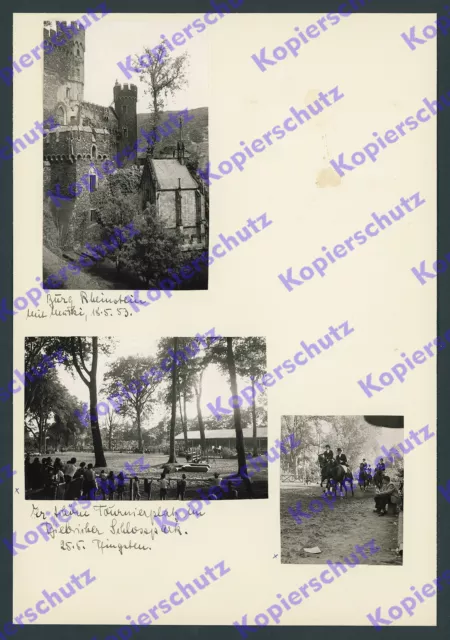 orig. Fotos Reitturnier Biebrich Schloßpark Wiesbaden Rheinstein Hansenberg 1953