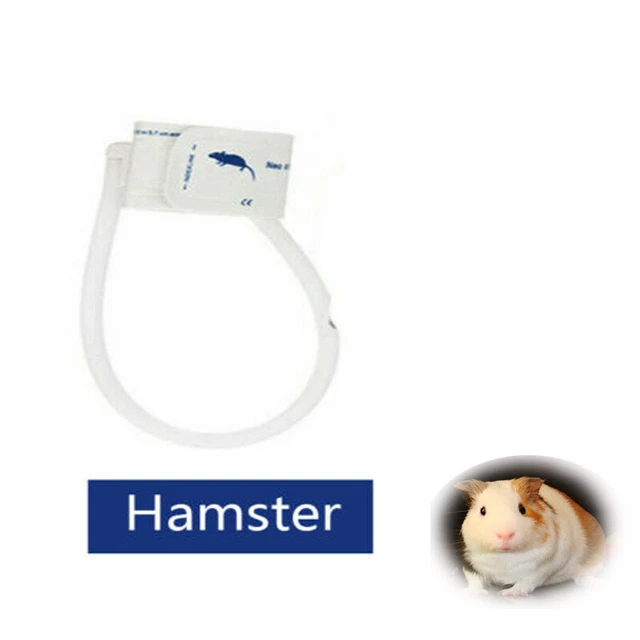 2pcs/bag  Blood Pressure Cuff for  hamsterAnimals Veterinary Animals Pet