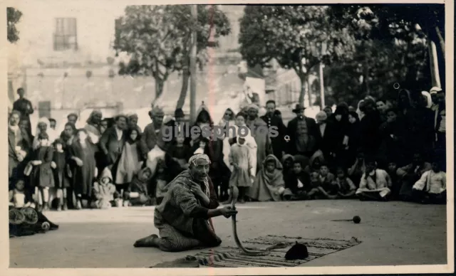 Tunisie c. 1925 - Charmeur de Serpents à Tunis - 23