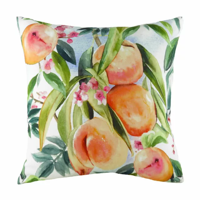Evans Lichfield Fruit Peaches Watercolour Print Cushion Cover, Multi, 43 x 43 Cm