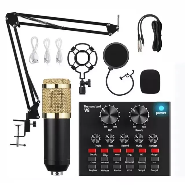Sound Card Set Professional Audio Condenser Mic Studio Singing Microphone New