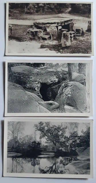 Lot de 3 cartes postales vintage ancienne Foret de Fontainebleau