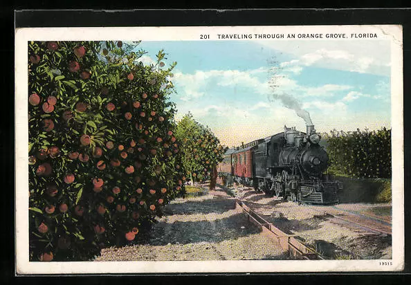 Traveling through an Ornage Grove at Florida, Eisenbahn, Ansichtskarte 1930