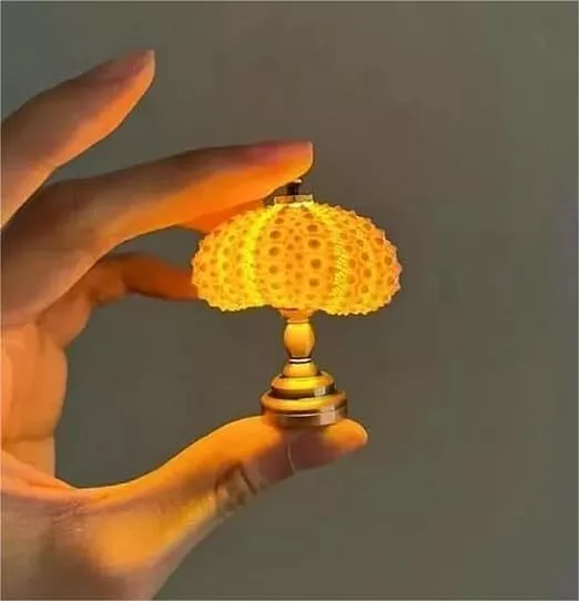 DIY Sea Urchin Night Light Shell Lamp Beach Themed Animal Nightstand Creative