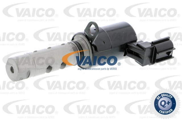 Valvola di controllo VAICO regolazione albero a camme Q+ qualità OEM V52-0302 GPL