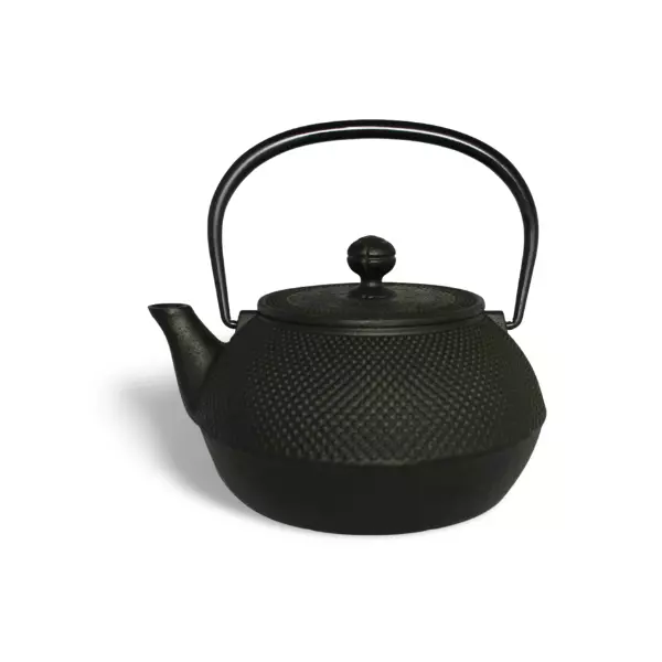 IWACHU Japanese Cast Iron Teapot HIRA ARARE (0.50L)