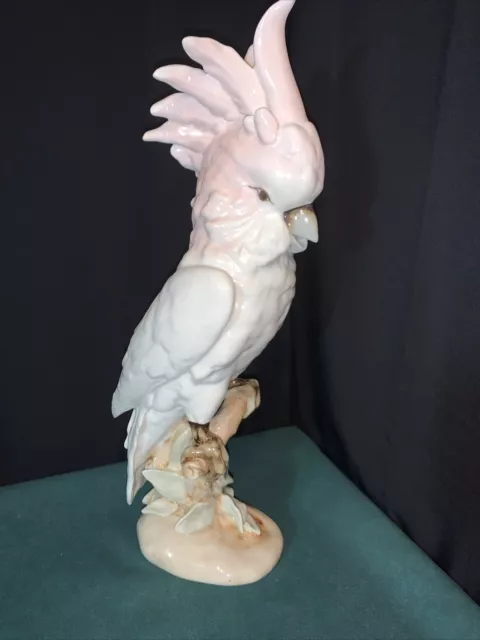 Cockatoo Royal Dux Porcelain Figure Of Cockatoo Pink Crest