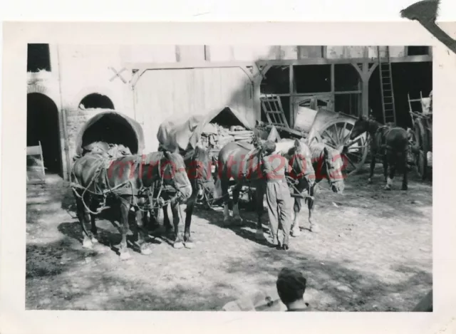 Foto, 3.Btl.Geb.Jg.Rgt.100, Quartier auf frz. Bauernhof nahe Louan, 5026-449
