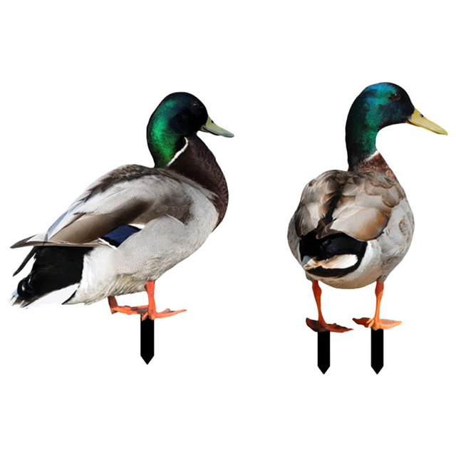 2pcs Garten Stake Dekorative Enten Pfahl Gartenhof Schild Rasen im Freien