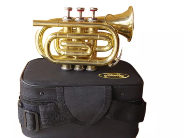 Pocket Trumpet Bb Flat Brass Wind Instrument with Mouthpiece