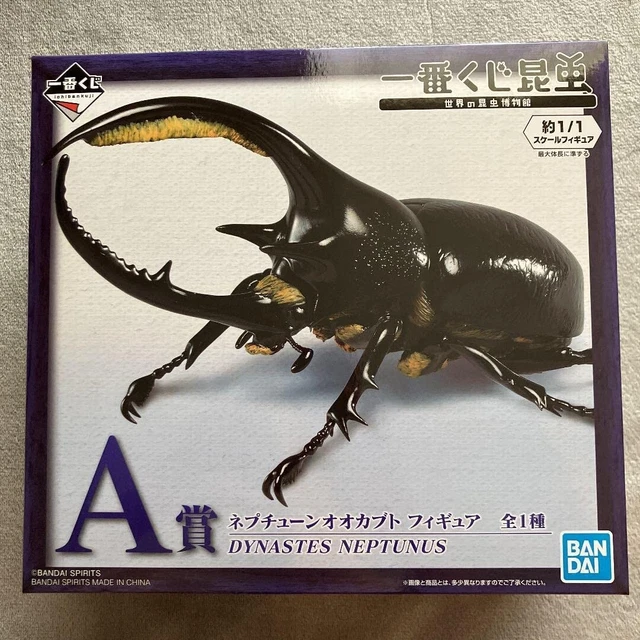 Ichiban Kuji Insect Museum of The World A Prize Dynastes neptunus Figure BANDAI