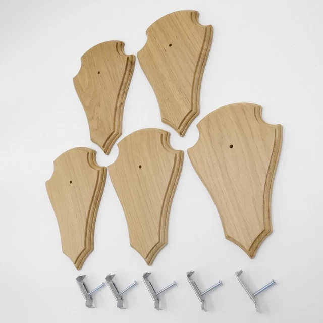 5 Pieza Ciervo Escudo de Trofeo Af 21 X 13CM Claro Con 1 Kieferfach + 5X Pinza 3