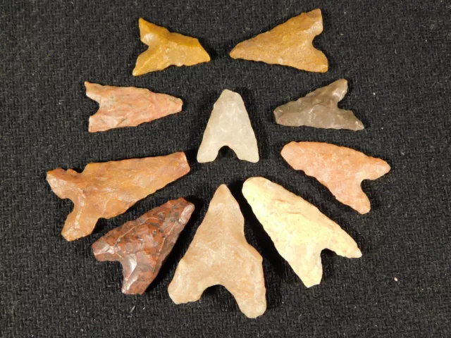 BIG Lot of TEN Ancient BOTTOM Notch Tidikelt Arrowheads 3.71