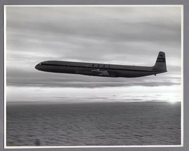 Boac De Havilland Comet 3 Large Vintage Original 1955 Manufacturers Photo