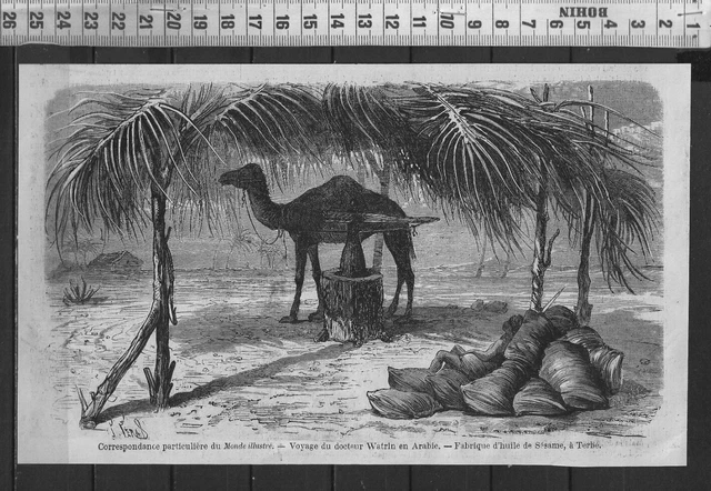 G374 / Gravure 1888 /  Voyage Du Docteur Watrin En Arabie