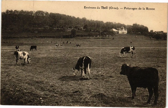 CPA Environs du Theil - Paturages de la Ronce (195321)