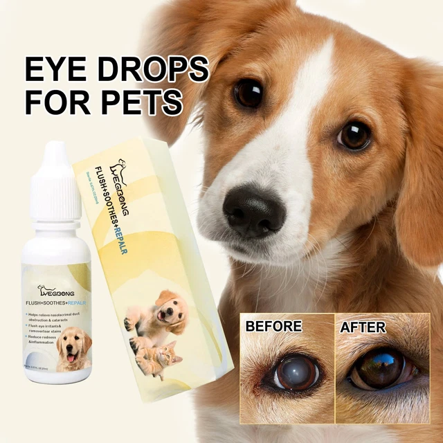 PET DOG EYE Drops For Conjunctivitis Caused By Allergies Or Foreign