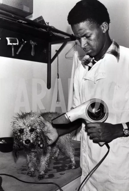 Altes Pressefoto Tiere Gebühr Veterinärlabore und Apotheken Druck 18x24 cm