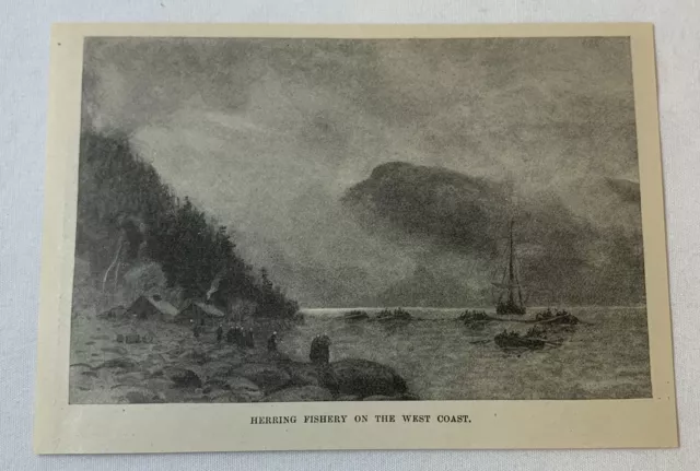 1889 magazine engraving ~ HERRING FISHERY ON THE WEST COAST Norway