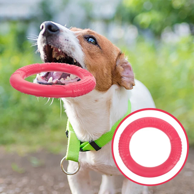 Hunde-Disc-Ring-Spielzeug, Wurfring-Trainingsspielzeug,