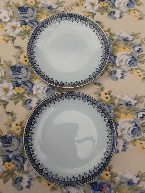 Lot De 2 anciennes Petites Assiettes Sarreguemines de 15cm de diamètre