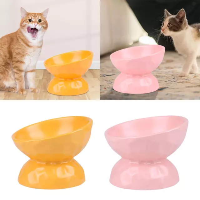 Ciotola per gatti rialzata in ceramica Ciotola per cibo per gatti per gatti