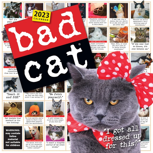 WORKMAN BAD CAT PageADay Calendar 2023 w £16.36 PicClick UK