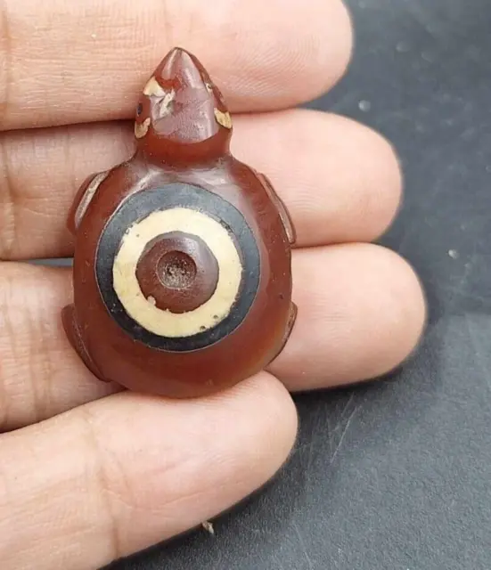 rare ancient Old eye etched carnelian Carved Turtle Longevity Asia Amulet bead