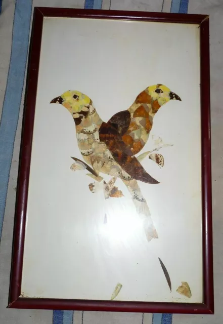 Ancien Cadre Vintage En Bois Oiseaux Fait Avec De Vraies Plumes Voir Photos