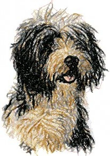Embroidered Sweatshirt - Bearded Collie AED14484 Sizes S - XXL