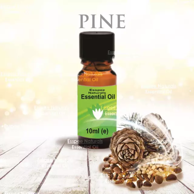 Pine Needles Essential Oil 10ml - 100% Pure - For Aromatherapy & Home Fragrance