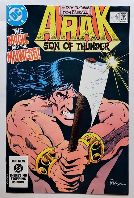 Arak Son of Thunder #29 (Jan 1984, DC) 7.0 FN/VF