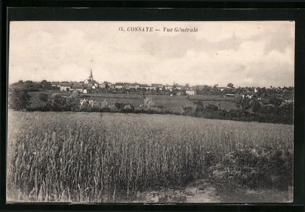 CPA Cossaye, Vue Generale