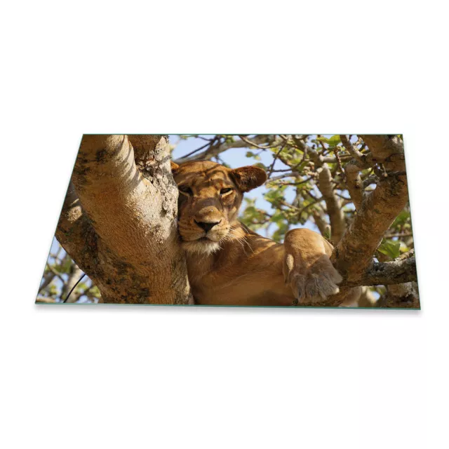 Placa de cubierta de cocina Ceran 90x52 tigre beige cubierta vidrio protección contra salpicaduras cocina decoración