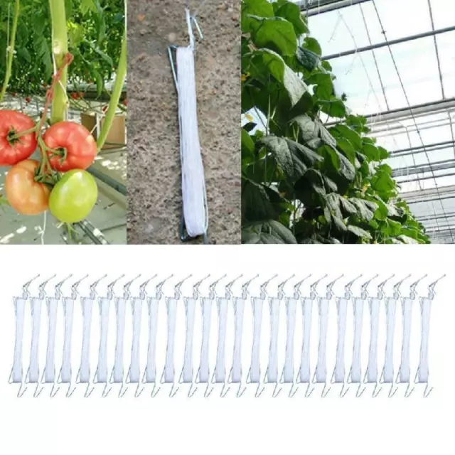 25x 10M Garden Tomato Hook Vegetable Clamps For Garden Farms Planting Tomato 3