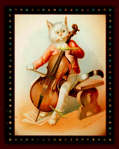 5x7 Vintage 1900 CELLO CAT Music white kitten Postcard art print picture