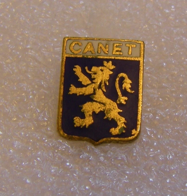 Vieille Broche émaillée “WINTER PARK” – Blason Suisse Vintage Pour Collection