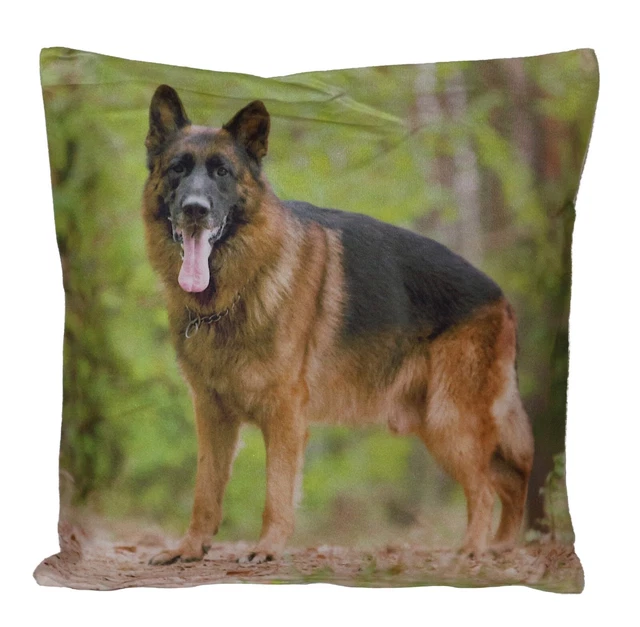 Federa cuscino 40 x 40 cm cane pastore