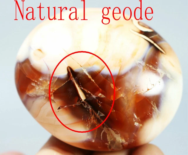 Natural Polished Red Orange CARNELIAN AGATE Geode Palm Stone Madagascar 216g
