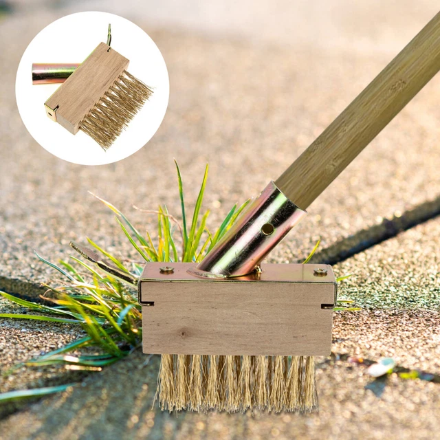 Pool Brush Wire Weeding Brush Rug Cleaner Carpet Cleaner Brush Paver