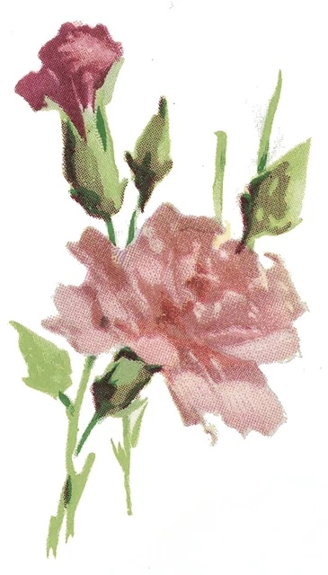 Calcomanías de cerámica tobogán de agua de 2-1/2"" X 1-1/2"" Tx" flores de clavel rosa 6 piezas
