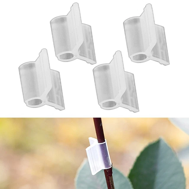 5 Rotoli Nastro Per Innesto Piante 3cm X 110m - Autoadesivo, Biodegradabile, Trasparente