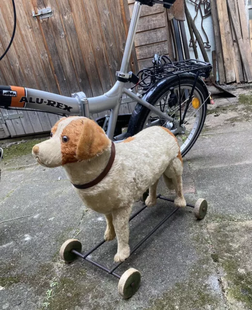 Steiff Hund Antiker Begleithund auf Räder