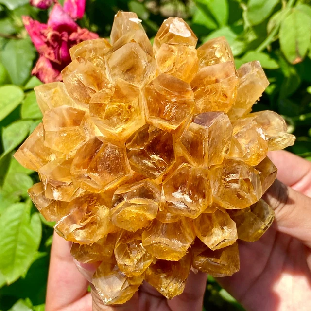 1.4LB  New Find Yellow Phantom Quartz Crystal Cluster Mineral Specimen Healing