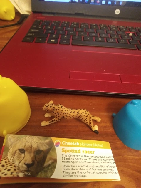 Yowie Endangered Cheetah
